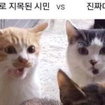 야 아이폰 8+쓰다가 se로 갈아타는거 ㅇㄸ..?