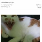 [댓글부탁해] 여자화장실에 구멍 있잖아