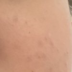 (혐주의)커<b>버력</b> 진짜 좋은 쿠션써고