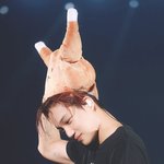 [EXO] <b>치킨</b>모자보다 못한 인생