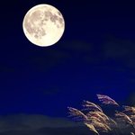 [19] 제일 저주하고 싶은 <b>사람이름</b> 써보고가