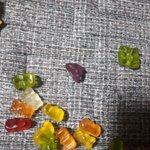 [댓글부탁해] <b>하리보</b> 뭐지