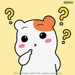 [모두드루와] 제왑돌팬은 제왑 일 못한다고 안한다 : 제왑본부제