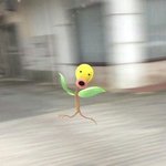 얘들아 오타쿠들 드럽고 짜증나지 않냐...