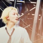 너네 오늘 세븐틴 <b>정한</b> 봤음? 사람맞아?
