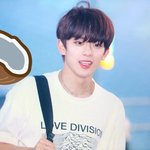 젤리피쉬 진짜 <b>작명</b> 조카 못해