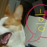 근데 진짜 <b>트젠</b>은