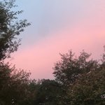 [댓글부탁해] ㄹㅇ고딩입장으로 <b>중딩때</b> 놀라는말 반대임