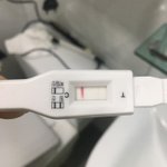 [19] 임테기 확인해줘 ㅠ
