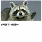 [댓글부탁해] 얘 나한테 호감 있는거임? 추반좀