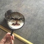[댓글부탁해] 근데 <b>니</b><b>넨</b> 관심없어도 잘생긴애면 좋아?