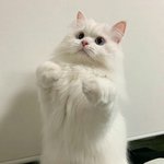 [드루와] 날씨 왤케 많이 풀렷냐