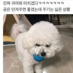 [드루와] 근데 판 글이나 댓글에 추천누르는거