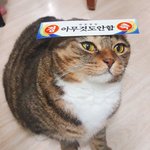 나만 일터진 다음에 관상<b>사</b>주 이런거 짜증남?