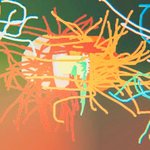 [DHC] DHC의 머릿 속