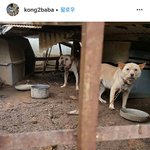 [드루와] 얘들아 <b>이</b> 글 제발 톡<b>선</b>보내자