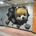 [드루와] 아니 근데 이런거 조카 무섭지않냐