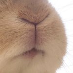 [댓글부탁해] 나 <b>아랫니</b> 많이 삐뚤어짐?