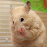 [댓글부탁해] 얘들아 짝남한테 이러면 <b>티나</b>? 추반