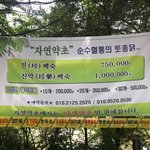 [모두드루와] 미슐랭도 울고 갈 대한민국 계곡 식당