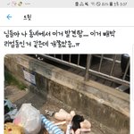 [19] <b>리얼돌</b> 버린모습 에반데..