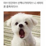 [댓글부탁해] 향 추천좀