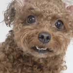 [엑스원] 송형준 진짜