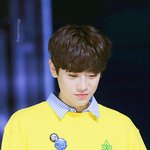 아 선바 <b>체리</b>마루는 봐도봐도 웃기네ㅌㅋㅋㅋ