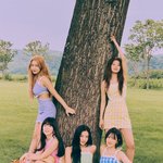 아이린 <b>셀렉</b> 누가 했냐 진심