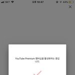 유튜브 프리미엄 삿엉 ^.^