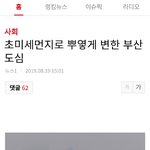 ㅋㅋㅋㅋ남탓하던 조선인들 ㅋㅋㅋ