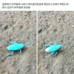 [<b>혐오주</b>의] 공원에서 바선생 나와서.jpg
