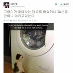 [댓글부탁해] 버블티 ㅈㄴ <b>맛</b>없음 <b>뭔맛</b>으로 먹냐