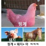 [드루와] 얘들아 <b>호텔</b>델루나 재밌음?
