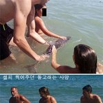 <b>몰상식</b>한 관광객 모음