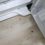 [꼭조언부탁] 제발 살려주세요 누가 저희집에 들어와요.