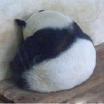 기운<b>내자</b>
