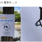 한 여름에 음방 대기하는 팬들한테 조공하는 아이돌