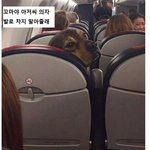 [댓글부탁해] 얘들아 오디션있어서 학교 빠져야되는데