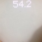 [댓글부탁해] 다이어트 한다던 쓰닌데 후기