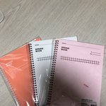 [댓글부탁해] <b>모트모트</b> 색 골라주라