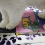 [고양이] 나는 열한살 할배 고양이 싼<b>쵸</b>옹 42