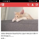 [댓글부탁해] <b>True</b>