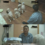 [댓글부탁해] 천원 훔쳐서 가족 단체로 <b>혼남</b>