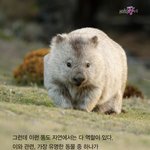 [댓글부탁해] 뭔가 더럽거나 징그러운 <b>사진</b> 스쳐지나갈<b>때</b>