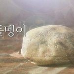 [19] 낯가림 심한데 도와줘 ㅠㅠㅠ