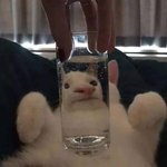 [댓글부탁해] 1~2시쯤에 <b>코노</b>에 사람 많을까??