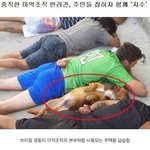 [모두드루와] <b>자수</b> 할래