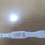임신바우처는 어떻게 신청해야되는지 알려주세요....