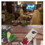 [모두드루와] 구혜선 딴건 잘하는데 <b>요리</b>는 못한다